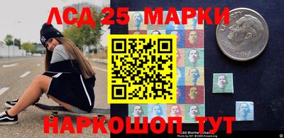 гашик Новодвинск