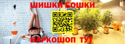 гашик Новодвинск