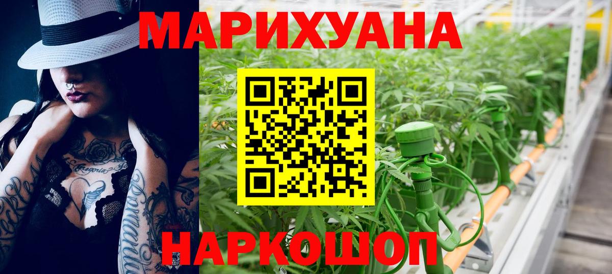 Бошки Шишки планчик Светлоград